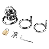 BDStyle Spike Alloy Male Chastity Cock Cage